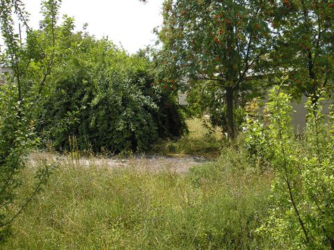 Foto 46